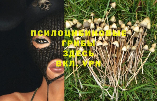 кокаин премиум Краснослободск