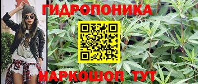молекула духа Новозыбков