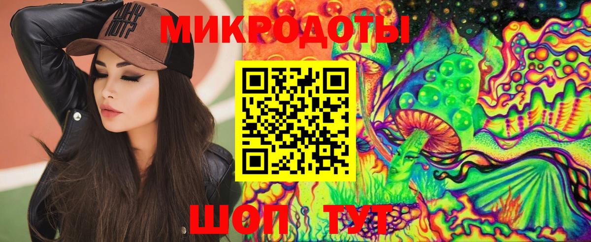 Псилоцибиновые грибы Cubensis Усть-Джегута